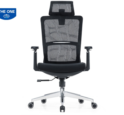 GHẾ CÔNG THÁI HỌC