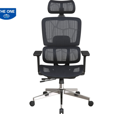 GHẾ CÔNG THÁI HỌC