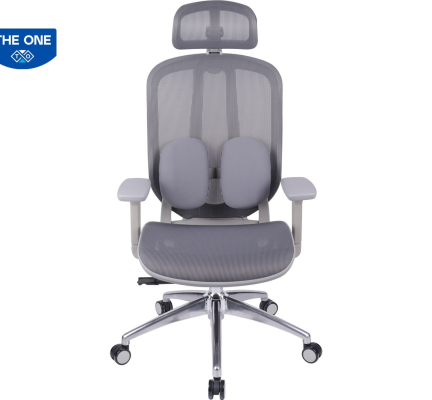 GHẾ CÔNG THÁI HỌC