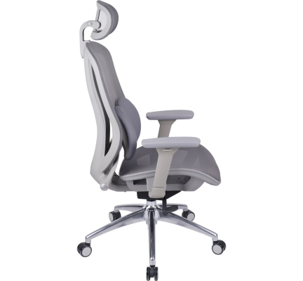 GHẾ CÔNG THÁI HỌC