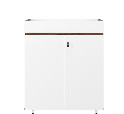 TỦ TÀI LIỆU LUXURY